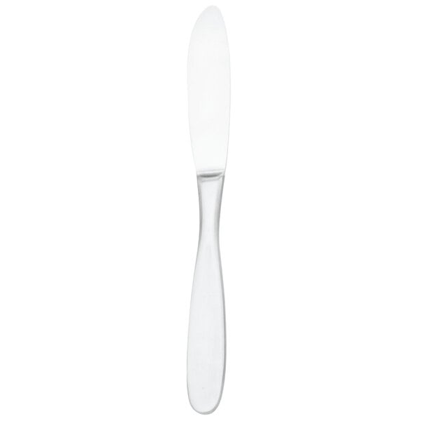 Walco Modernaire 9 3/4" 18/10 X-Heavy European Table Knife – item 93520451