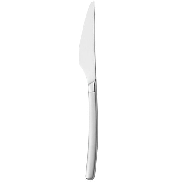 Walco Frosted Vogue 8 13/16" 18/10 X-Heavy Dinner Knife – item 935S2545