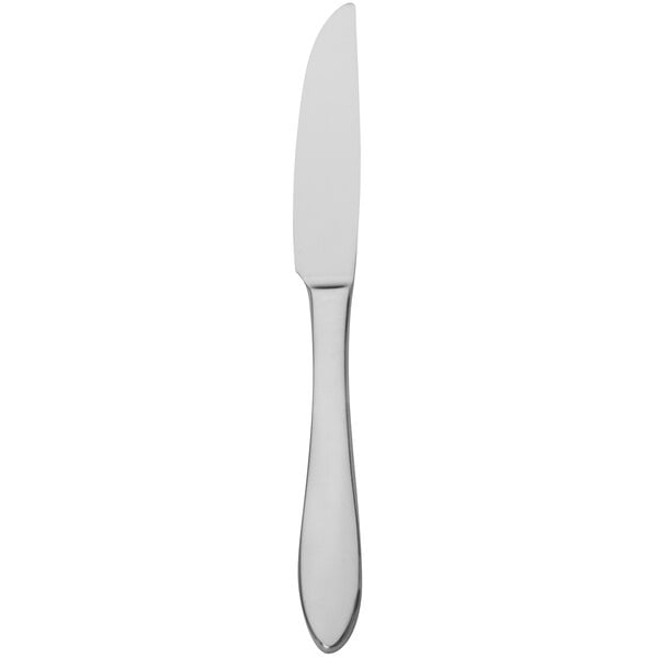 Walco Idol 9 1/2" Heavy European Table Knife – item 93501451