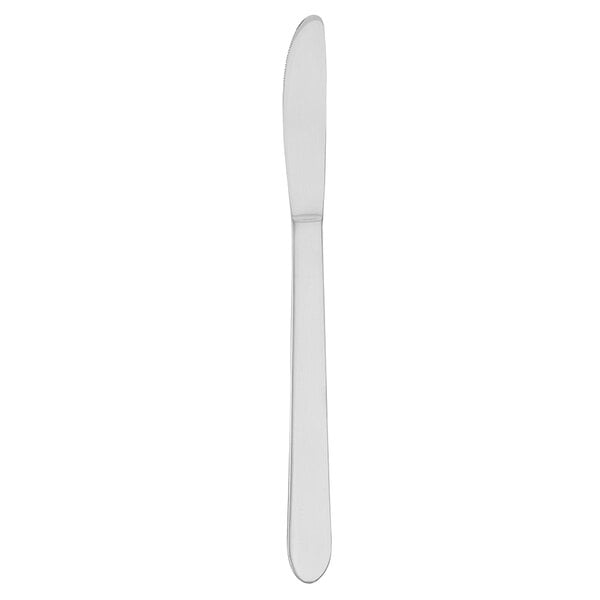 Walco Streamline 9" Heavy Dinner Knife – item 9353345N