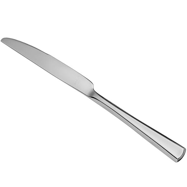 Libbey 304 5501 Adrina 9 1/2" Heavy Dinner Knife – item 9593045501