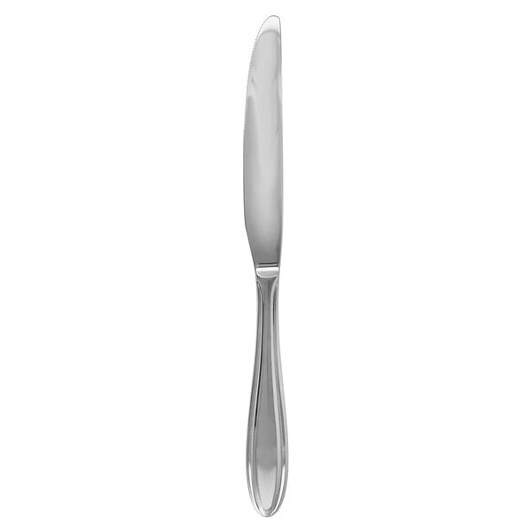 Walco Bellwether 9 1/2" Antimicrobial 18/10 Dinner Knife – item 935BLW45