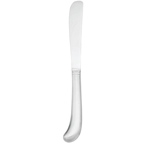 Walco Royal Bristol 9 3/8" Heavy Dinner Knife – item 9355125