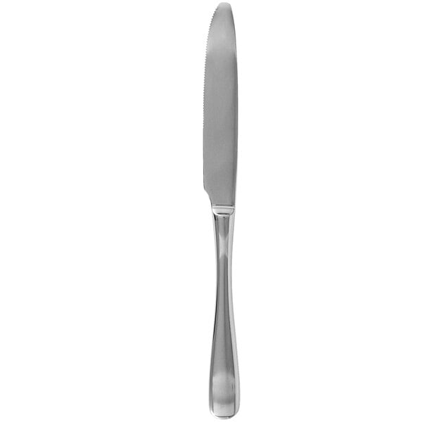 Walco Vacanza 8 3/8" 18/10 X-Heavy Dinner Knife – item 935VAC45