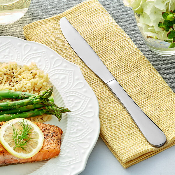 Acopa Vernon 9 1/4" Heavy Table Knife – item 267800012 image 2