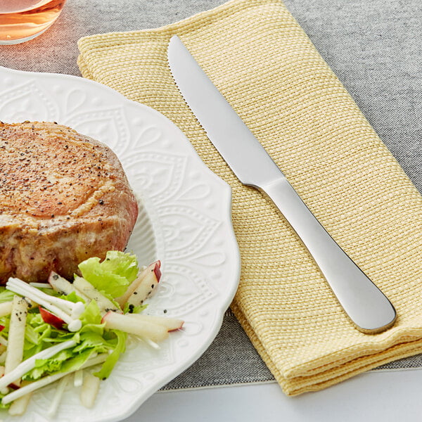 Acopa Vernon 9" Heavy Steak Knife – item 267800014 image 2