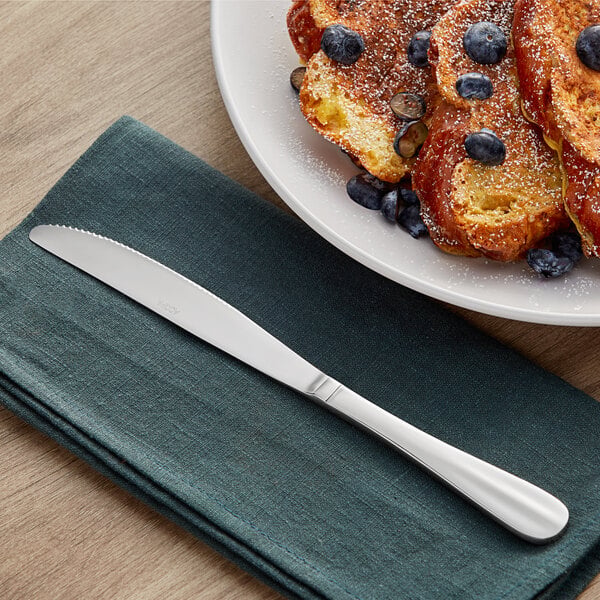 Acopa Benson 9 7/16" Heavy Table Knife – item 267330012 image 2