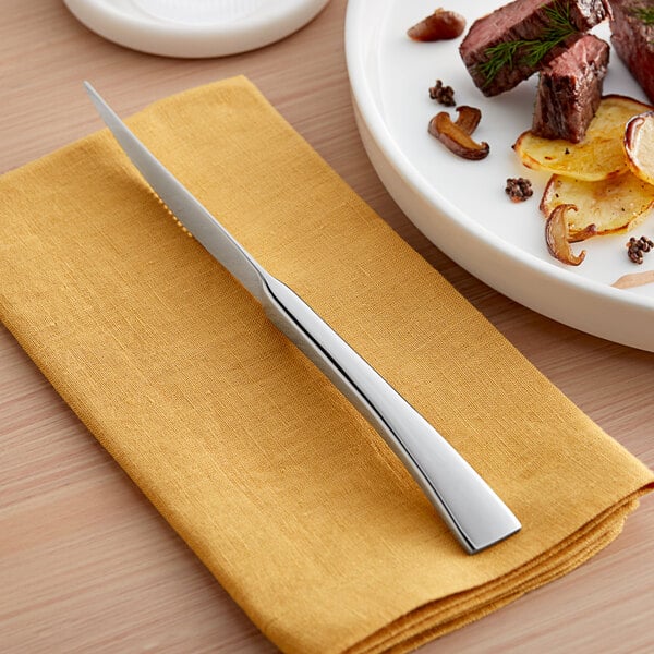 Acopa Lore 9 1/4" X-Heavy Standing Steak Knife – item 267920814 image 2