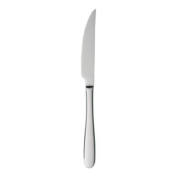 Libbey Novara 9" Heavy Steak Knife – item 959380316