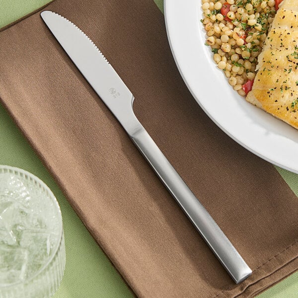 Libbey 663 5501 Elexa Satin 9" Heavy Dinner Knife – item 9596635501 image 2