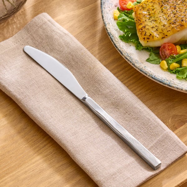 Acopa Architect 9" 18/10 X-Heavy Dinner Knife – item 267910808 image 2