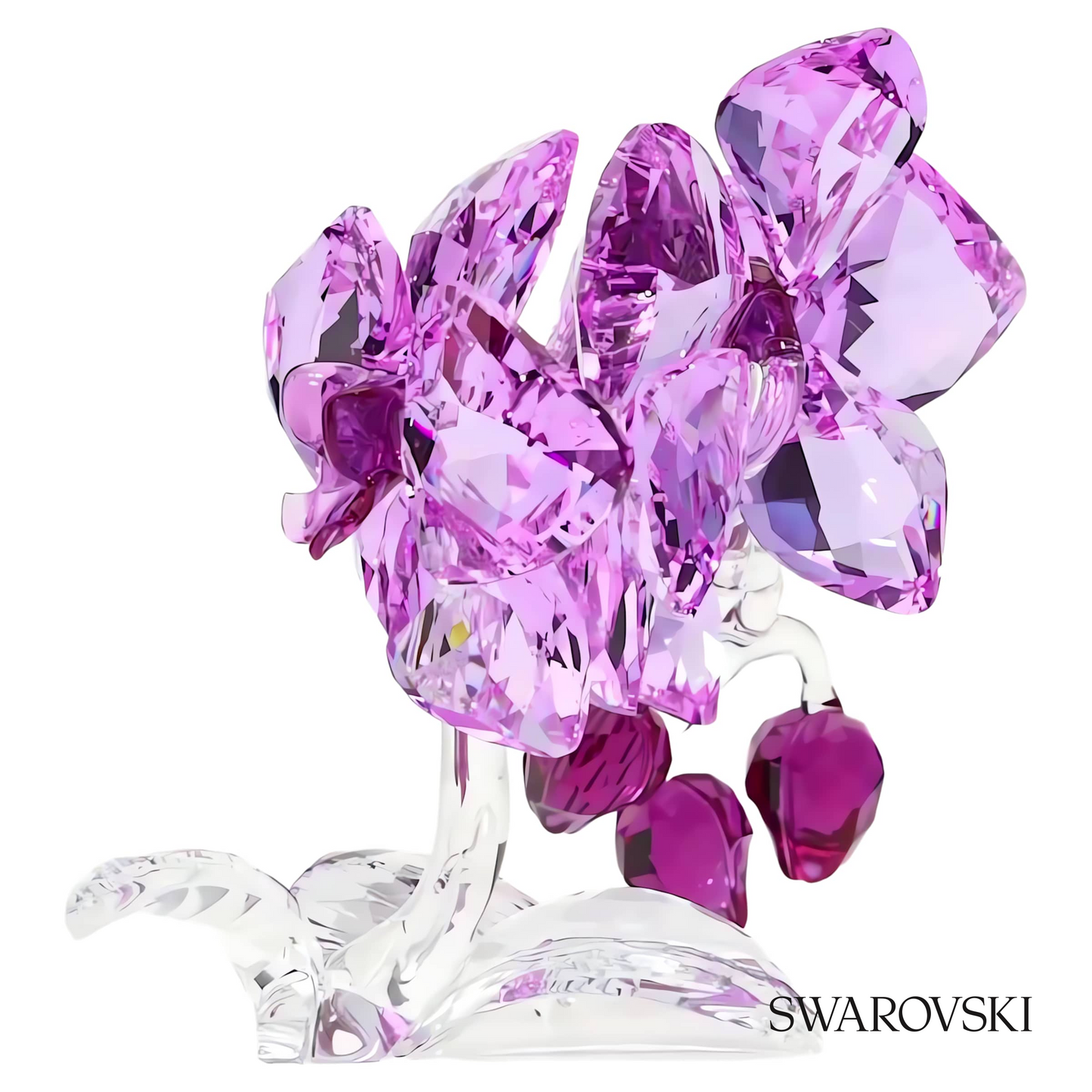 Swarovski Crystal Flowers Orchid – item 5520373 image 4