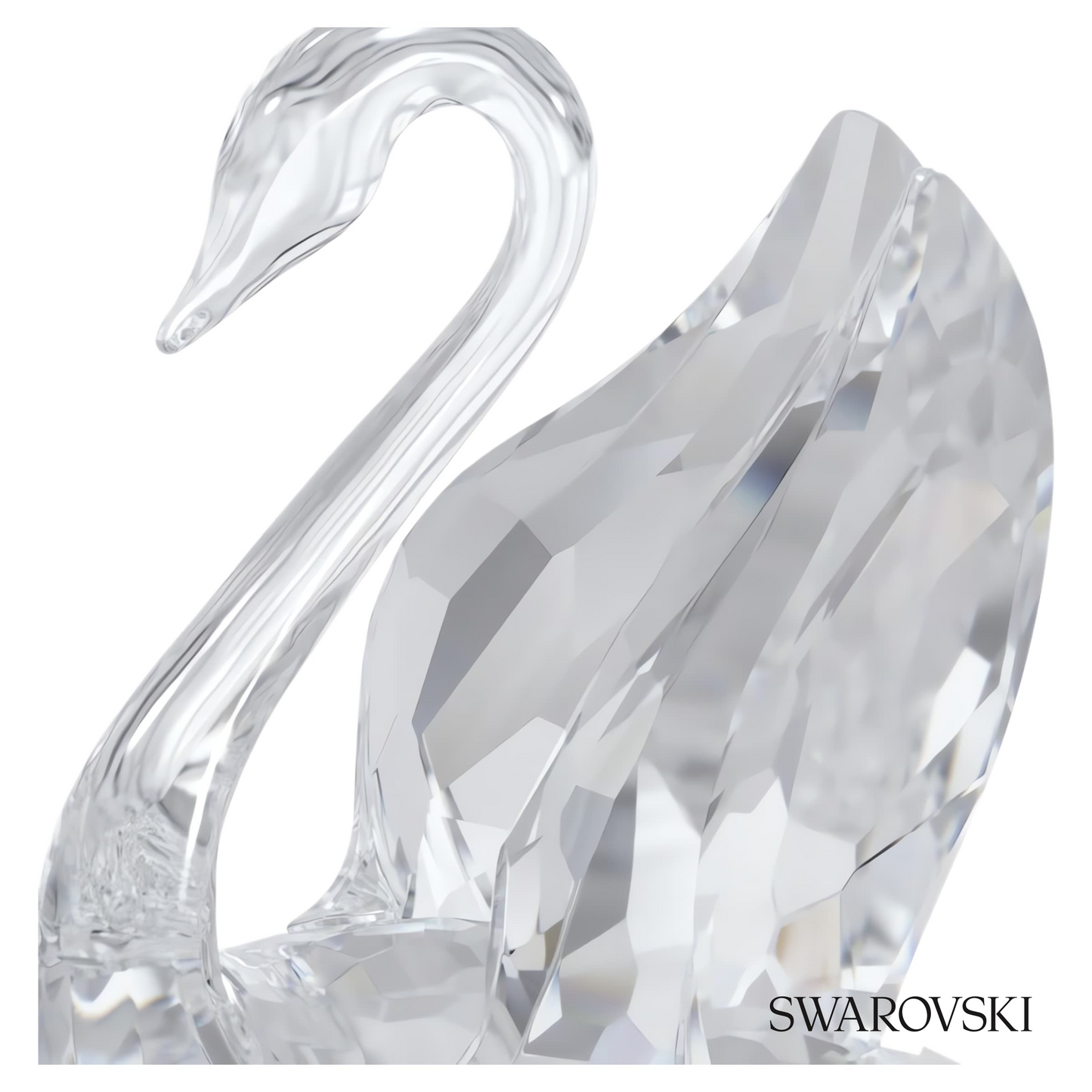Swarovski Signum Swan, Small – item 5613254 image 4