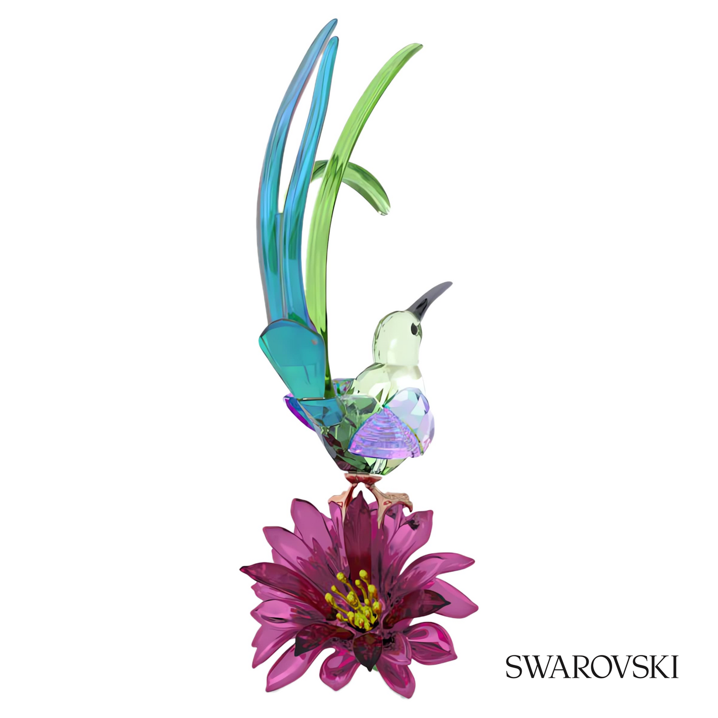 Swarovski Idyllia Sugarbird and Cactus Flower – item 5675166 image 4