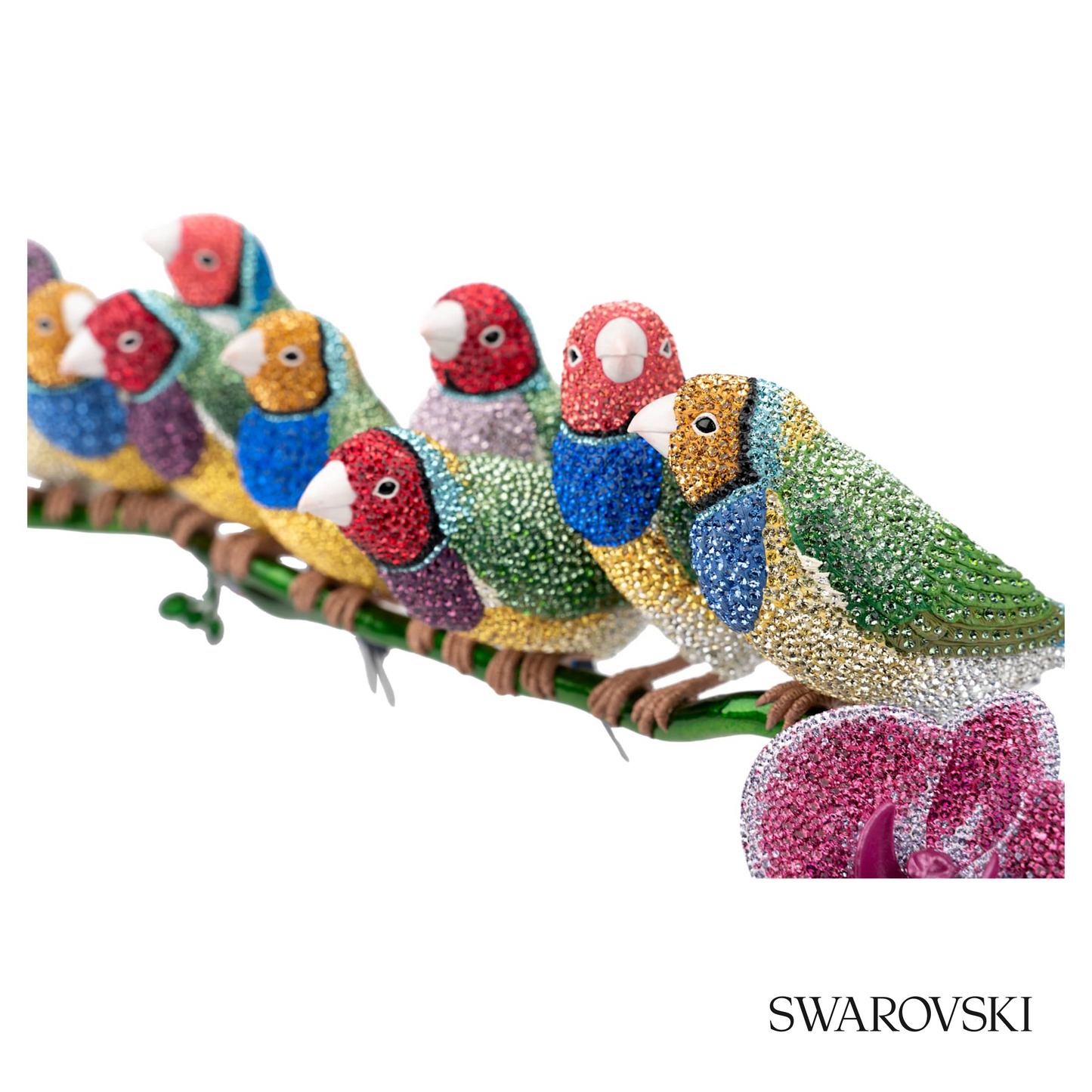 Swarovski Crystal Myriad Gouldian Finches – item 5677659 image 5
