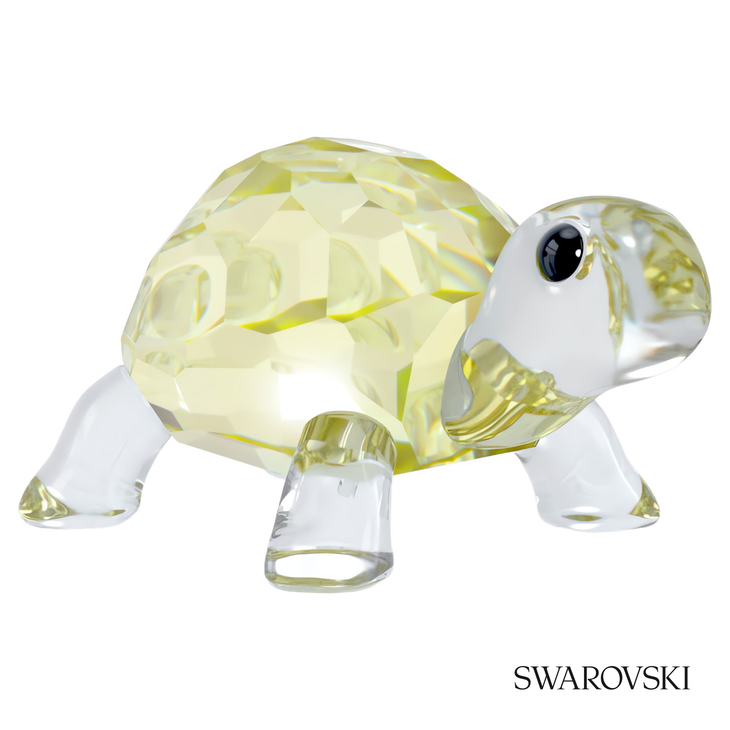 Swarovski Idyllia Baby Tortoise – item 5721550 image 4
