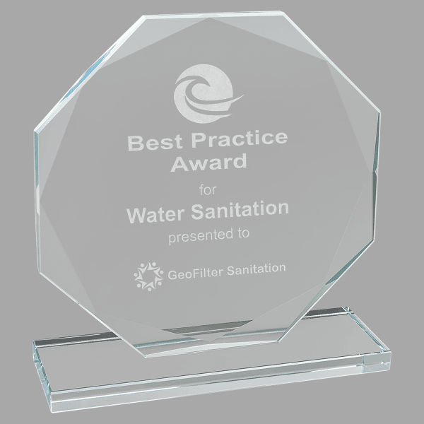 6.5" Octagon Clear Glass Award – item CGS12 image 3
