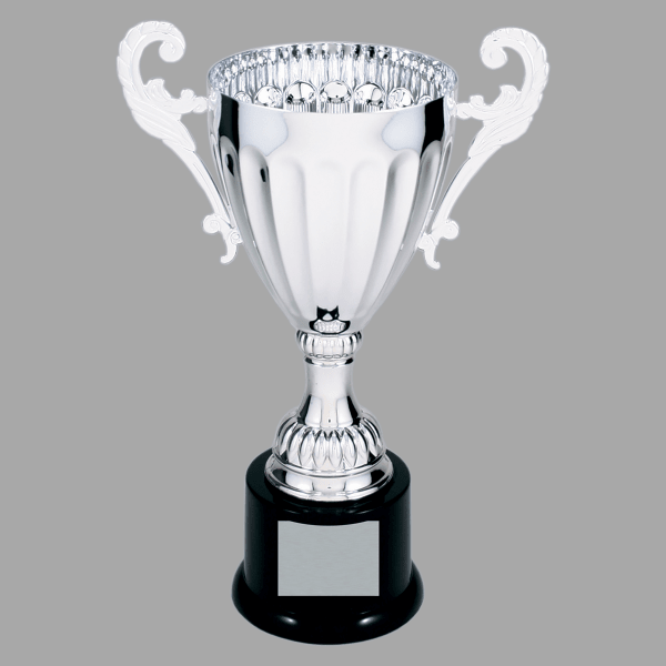 9.75" 302 Series Metal Cup Trophy – item CMC302S