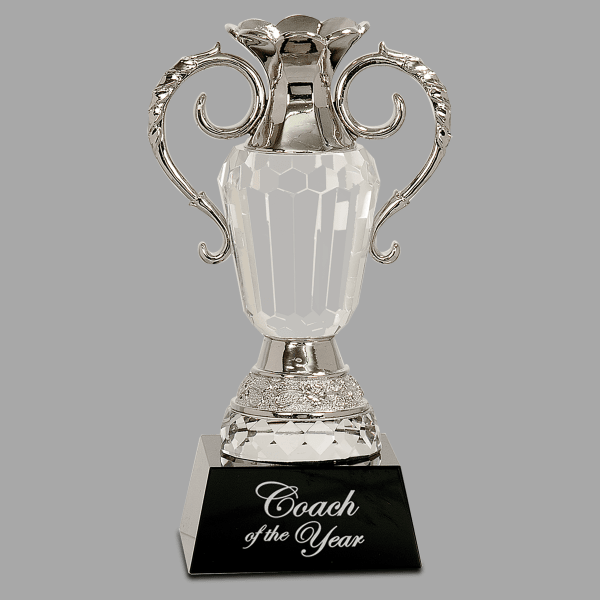 8" Crystal Cup with Silver – item CRY062M
