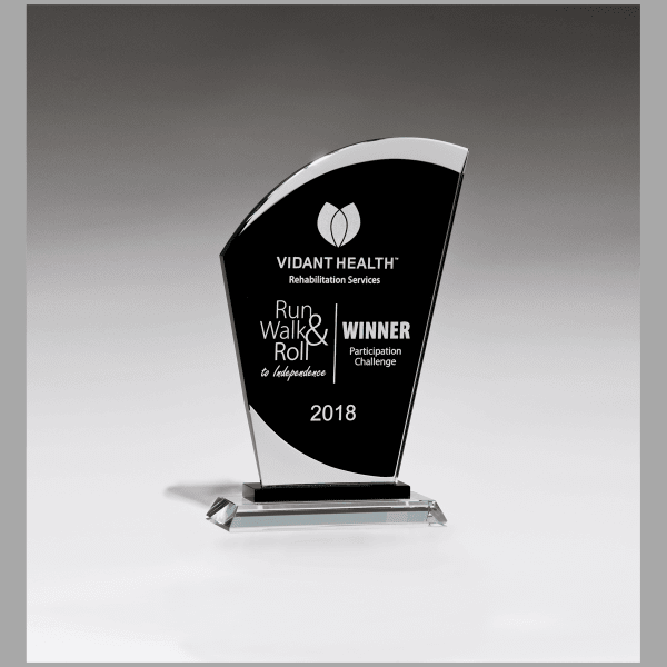 5.5" x 8.75" Sail Shaped Glass Award w/ Black Center – item G2925