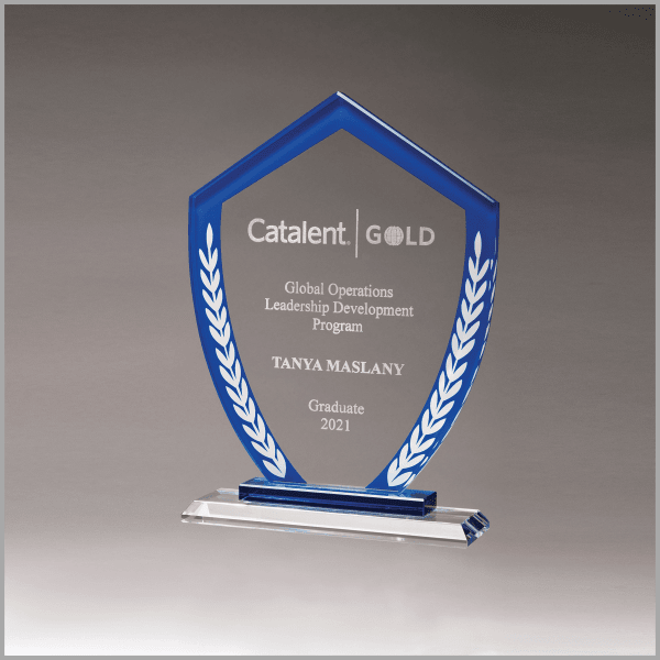 6.625" x 9" Shield Shaped Glass Award w/ Blue Border – item G3094