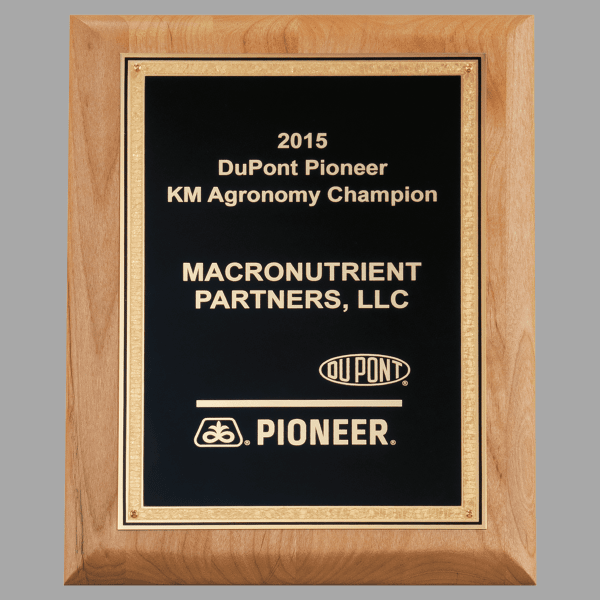 9" x 12" Natural Alder Wood Plaque w/ Black Textured, Gold – item P5269