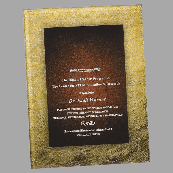 7.75" X 9.75 Gold/Bur Plaque Acrylic – item PLX801B