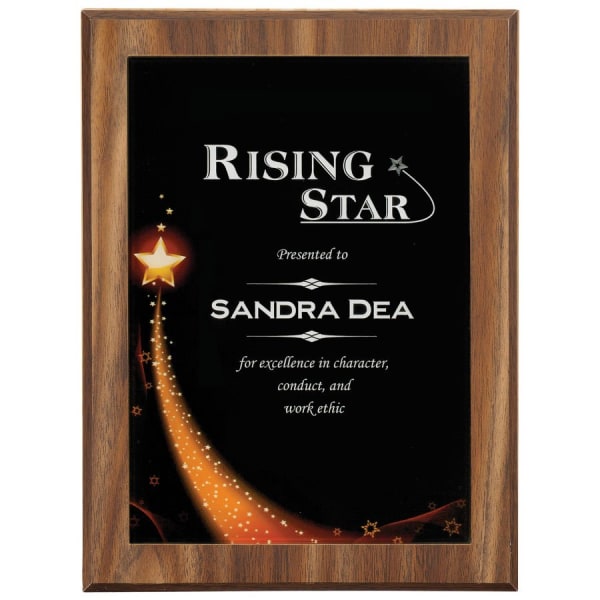 6-7/8 X 9-7/8 Star Gl X Y Plaque Acrylic – item PPX810C
