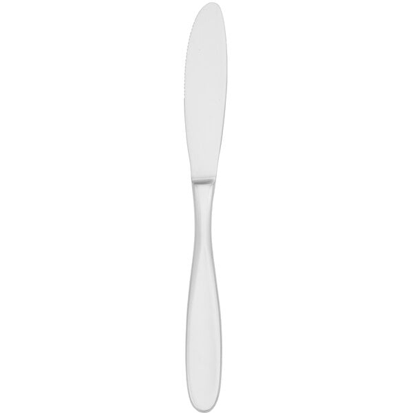 Walco Modernaire 8 13/16" 18/10 X-Heavy Dinner Knife – item 9352045