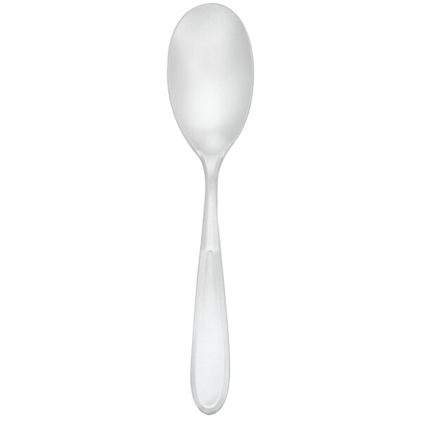 Walco Modernaire 6 15/16" X-Heavy Dessert Spoon – item 9352007
