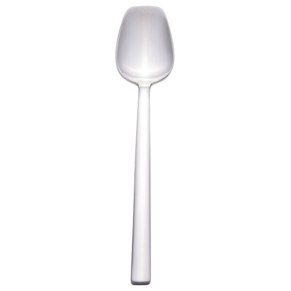 Walco Erik 8" X-Heavy Dessert Spoon – item 9351207