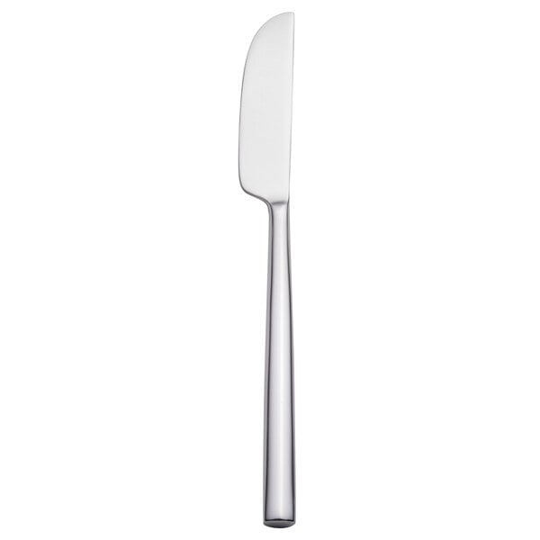 Walco Erik 8 3/4" 18/10 X-Heavy Dinner Knife – item 9351245