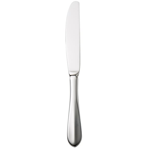 Walco Lancer 8 13/16" 18/10 X-Heavy Dinner Knife – item 9359445