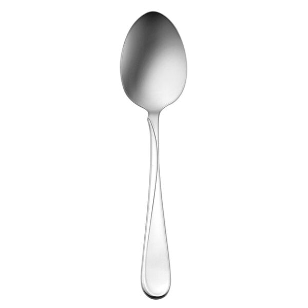 Oneida Flight 2865STBF 8 3/8" Tablespoon / Serving Spoon – item 3562865STBF
