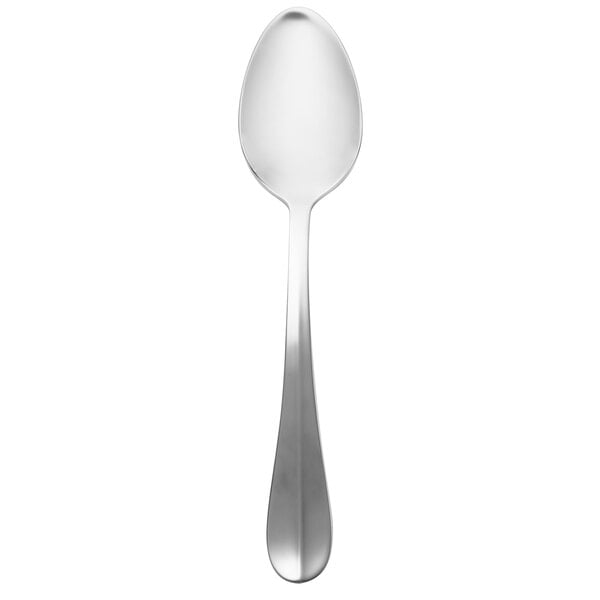 Walco Lancer 8 3/8" X-Heavy Serving Spoon – item 9359403
