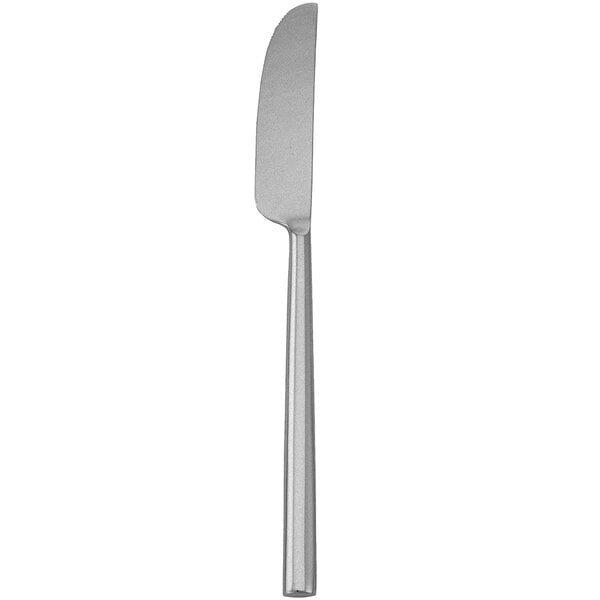 Walco Erik 8 3/4" 18/10 Fieldstone Finish Dinner Knife – item 9351245FS