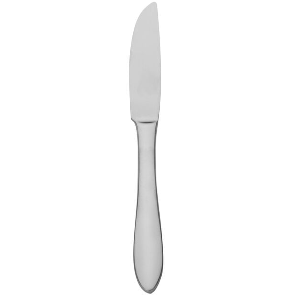 Walco Idol 9" Heavy Dinner Knife – item 9350145