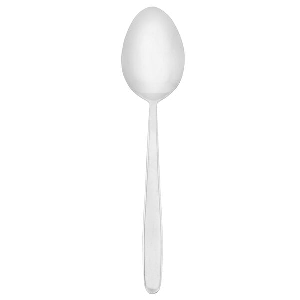 Walco Streamline 8 3/4" Heavy Serving Spoon – item 9353303