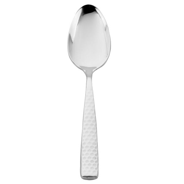 Walco Alps 9" Heavy Serving Spoon – item 9354803