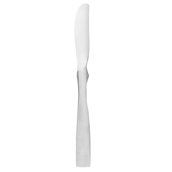 Libbey Brandware 138 5502 Salem 8 3/4" Heavy Dinner Knife – item 9591385502