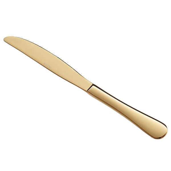 Acopa Vernon Gold 9 3/16" Heavy Dinner Knife – item 267800008G
