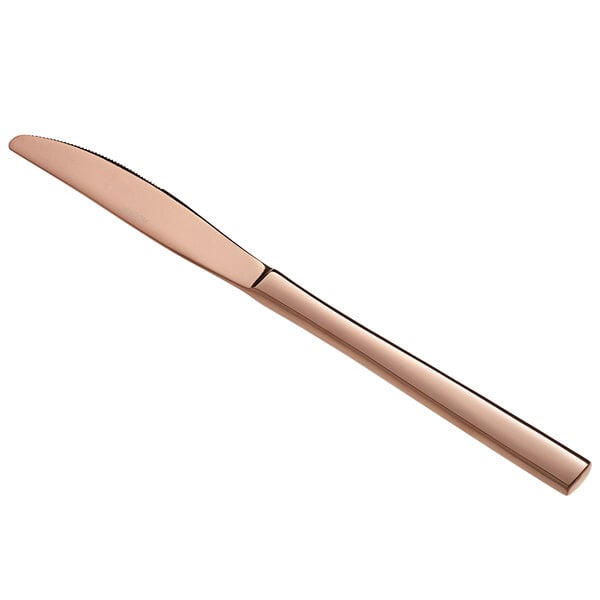 Acopa Phoenix Rose Gold 9 5/16" Dinner Knife – item 267810008RG