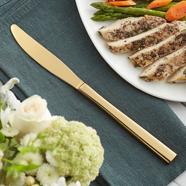Acopa Phoenix Gold 9 5/16" Dinner Knife – item 267810008G image 2