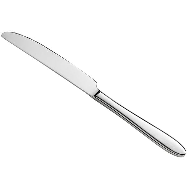 Acopa Remy 9" X-Heavy Dinner Knife – item 267850808