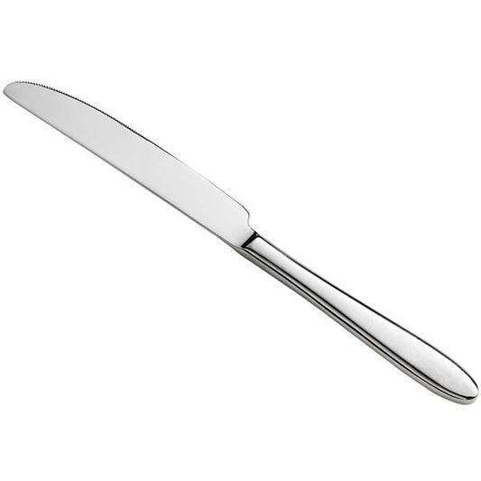 Acopa Remy 9" X-Heavy Dinner Knife – item 267850808