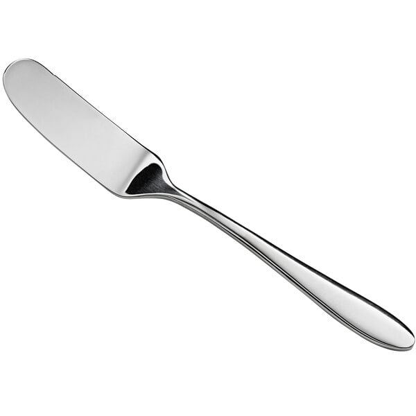 Acopa Remy 6 1/4" X-Heavy Butter Knife – item 267850809