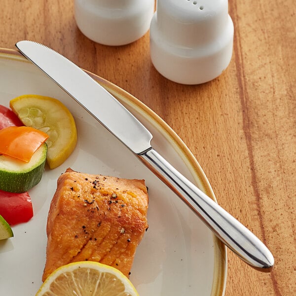 Acopa Remy 9" X-Heavy Dinner Knife – item 267850808 image 2