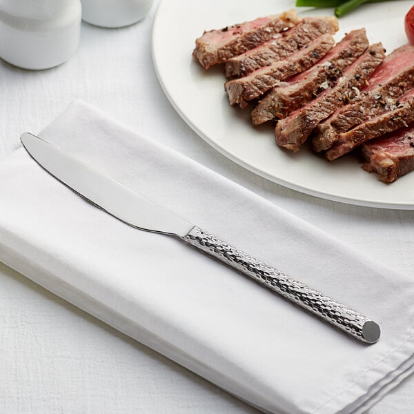 Acopa Iris 9 1/2" X-Heavy Dinner Knife – item 267840808 image 2