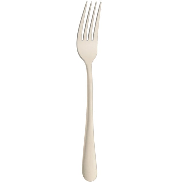 Amefa 1410AVB000340 Austin Champagne 7 3/16" Dessert Fork – item 548141AVB340