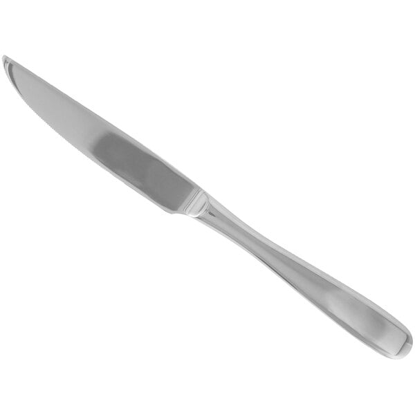 Walco Vacanza 9 3/8" 18/10 X-Heavy Steak Knife – item 935VAC22